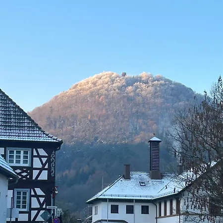 Naturhotel Wegelnburg 3*
