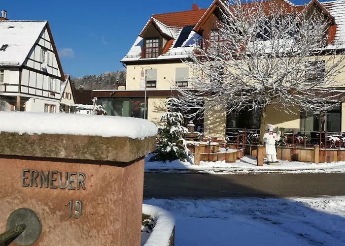 Hotel Naturhotel Wegelnburg 3*