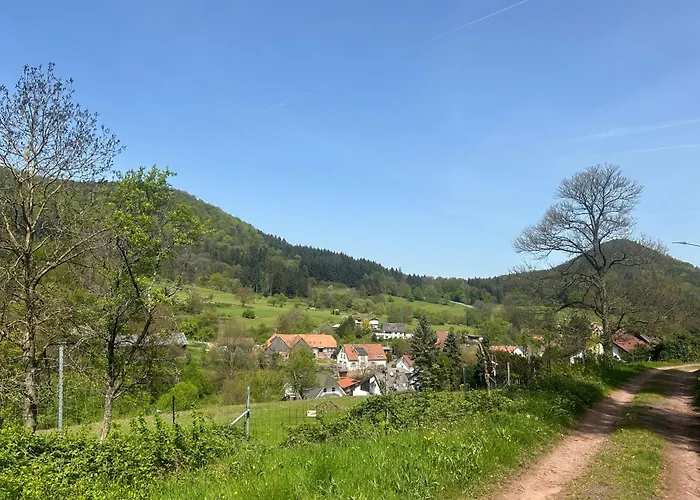 Hotel Naturhotel Wegelnburg