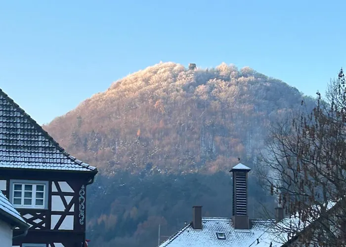 Naturhotel Wegelnburg 3*